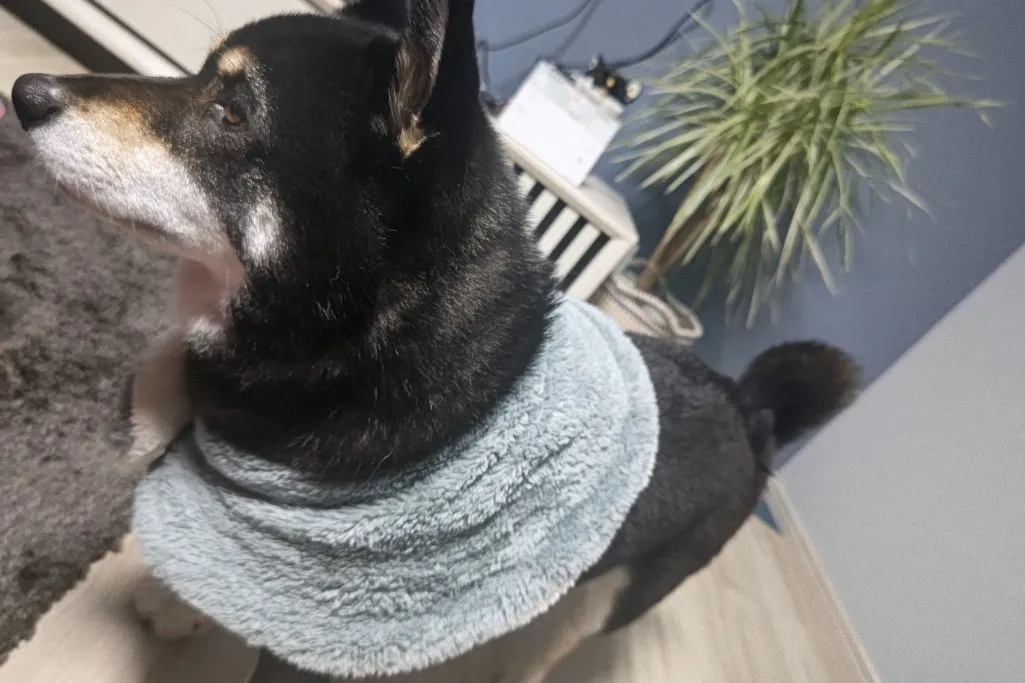 お寒うございます・・・🥶