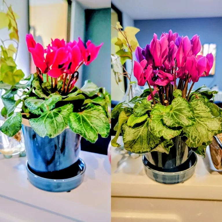 久々 どうでもいい話。。